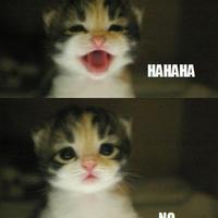 Сармицаа :3