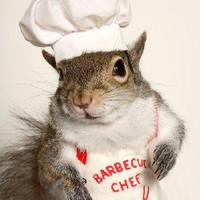 TANJA ono kao VEVERI