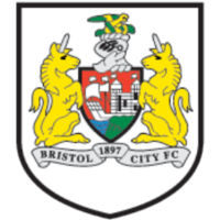 Bristol City Fan