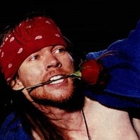 GunsNroses127