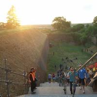 Поховани врабац