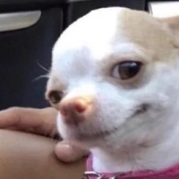 Хенри Летхам