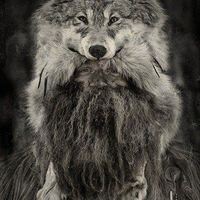 Манекенка да будем е