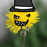 Зли маслачак