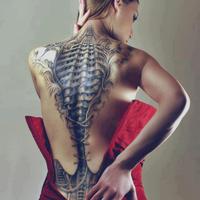 KukuruzOvcaPrigrevic