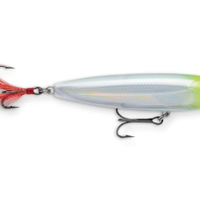 Retardirana Pastrmka