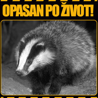 Јазавац Минер