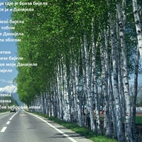 Војвода Јоџа Перовић