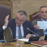 ретардирана фока